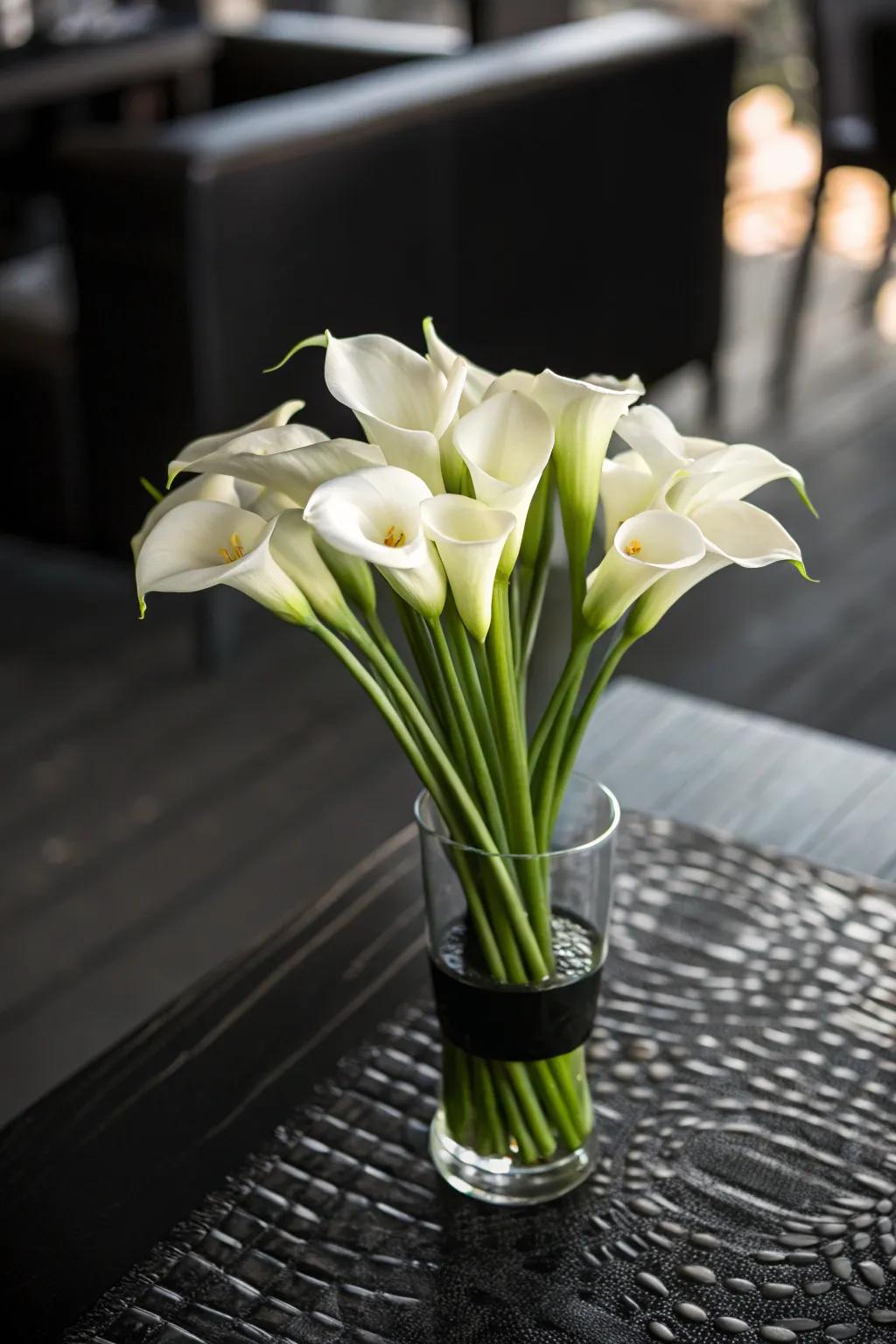 Sophistication at its finest with white calla lilies in a black glass vase.