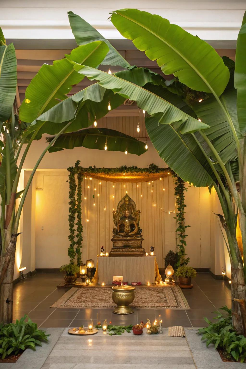 Banana leaves create a natural and refreshing canopy for your sacred altar, enhancing the spiritual ambiance.