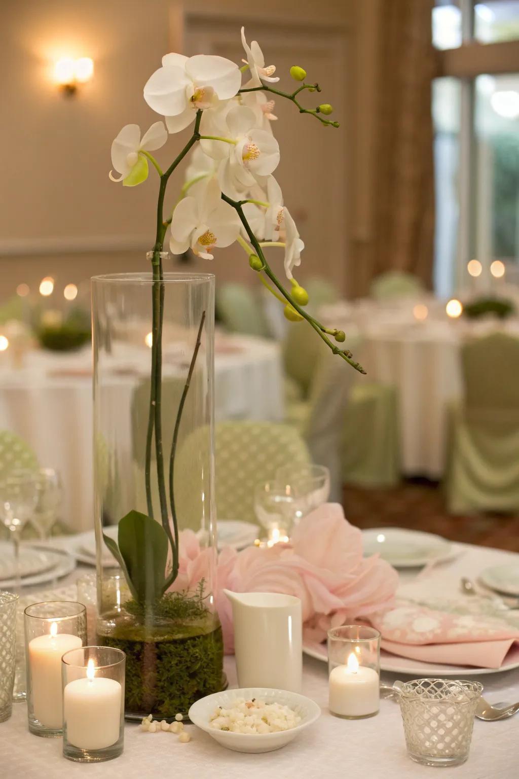 Find beauty in simplicity with elegant, minimalist centerpieces that make a statement. #MinimalistElegance #BridalSimplicity